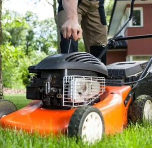 Petrol lawnmower